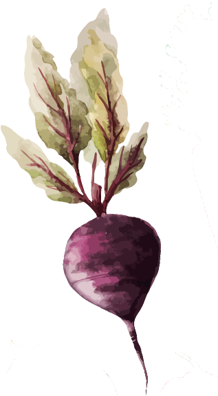Burak - Vegetable Watercolor (349x573), Png Download