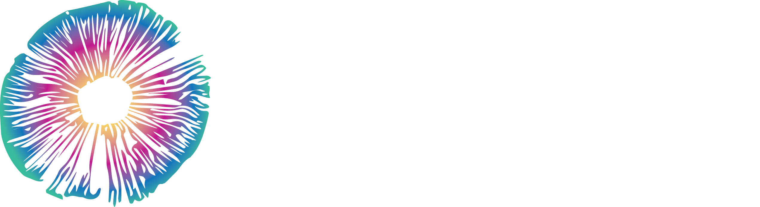 Psychedelic Png (2542x693), Png Download