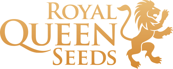 Royal Queen Seeds Logo (567x228), Png Download