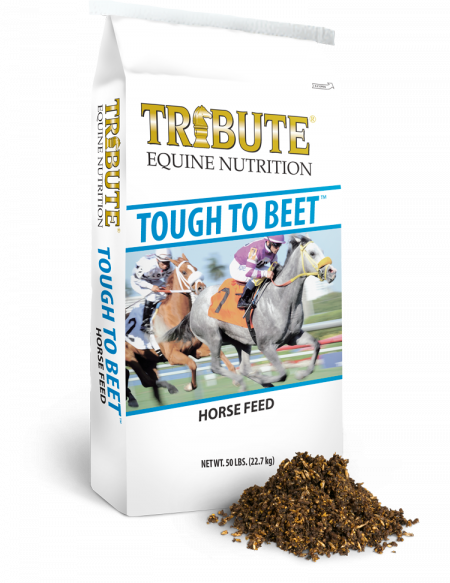 Kalmbach Feeds Tribute Tough To Beet For Horse, 50 (450x583), Png Download