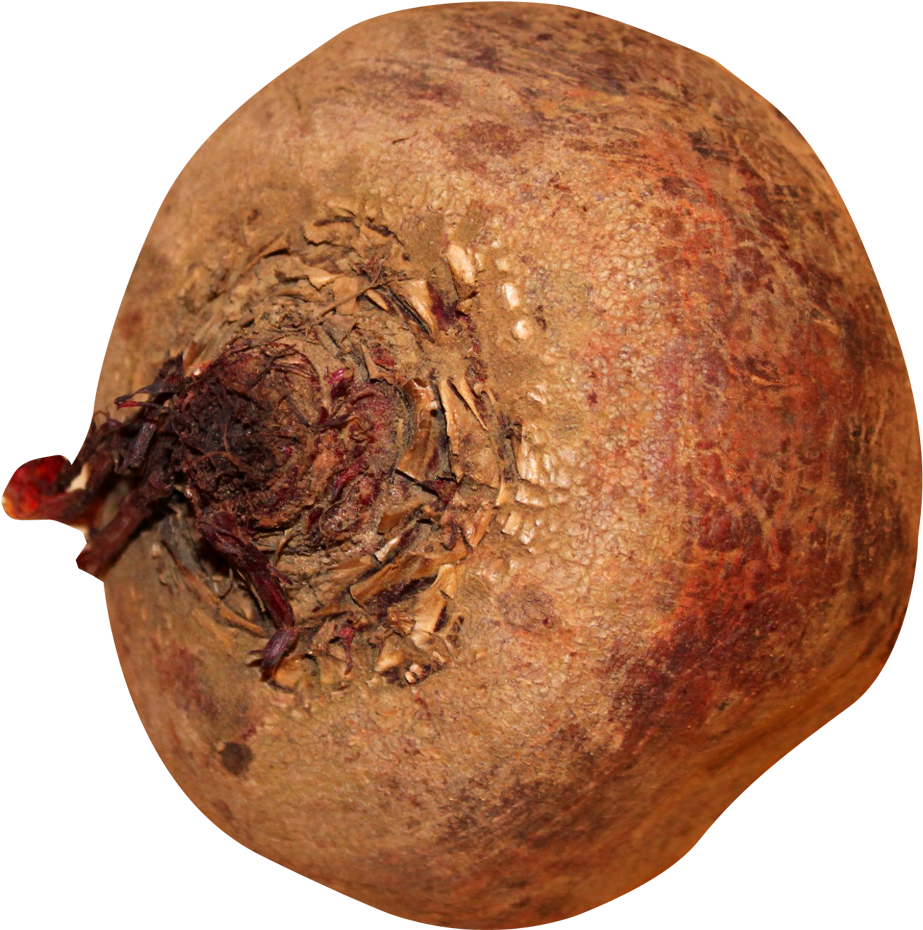 Beatroot Png Image - Beatroot Png (1038x1032), Png Download