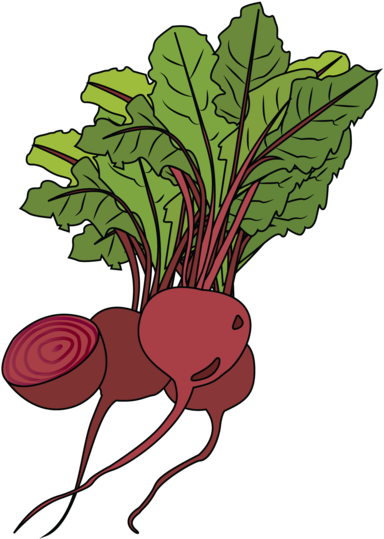 Beets - Beetroot (1024x668), Png Download