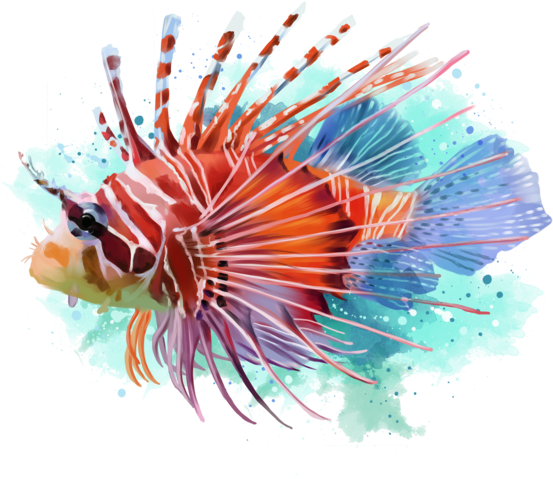 Clipart Library Watercolor Transprent Png Free - Lionfish Png (600x492), Png Download