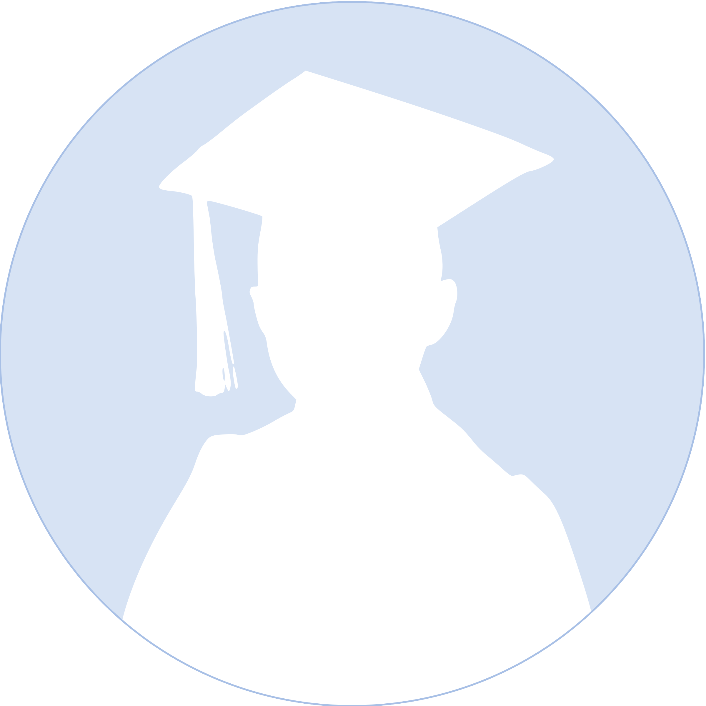This Free Icons Png Design Of Graduation Boy Profile (2400x2400), Png Download