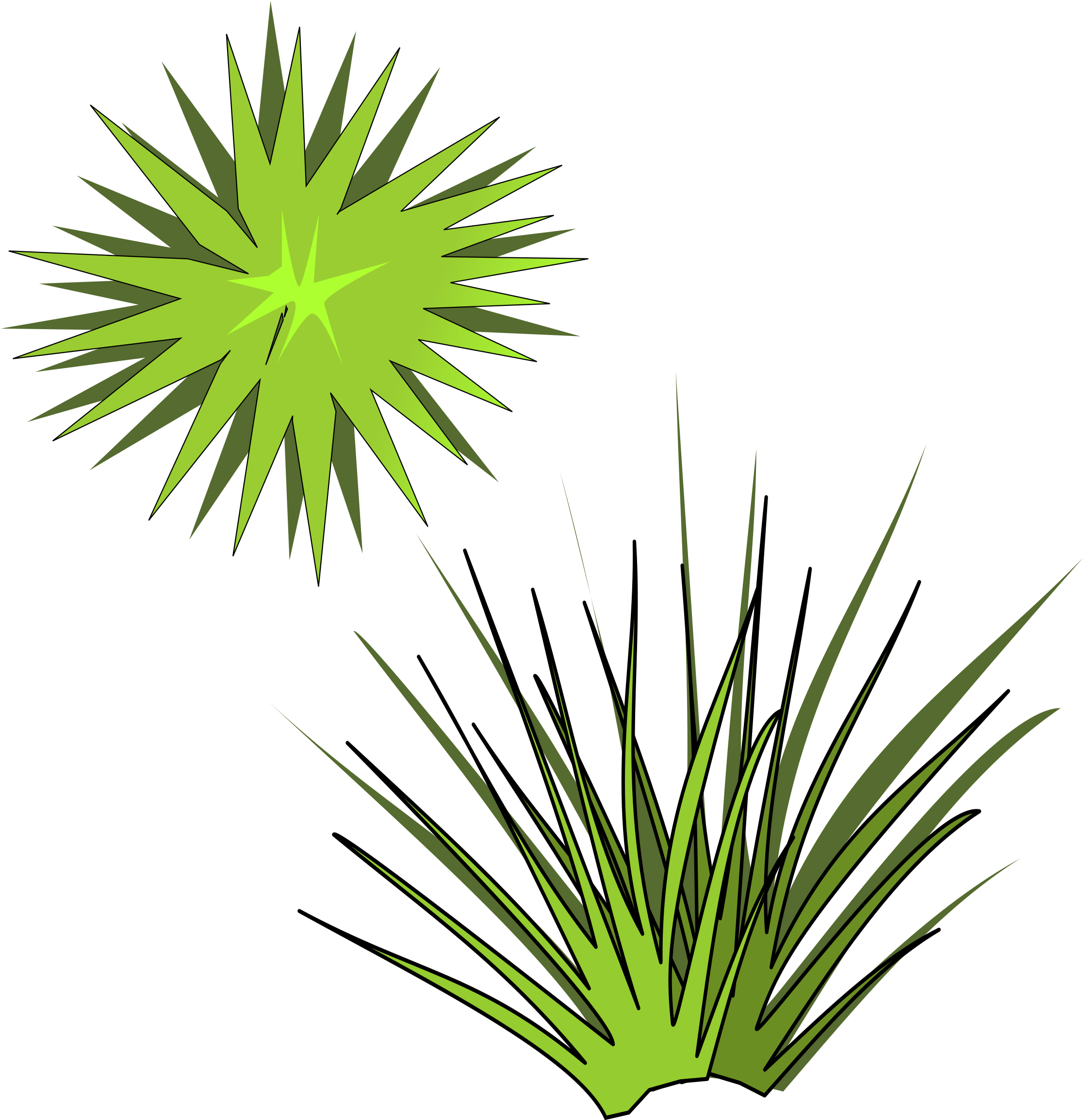 Big Image - Plant Illustration From Above (2400x2400), Png Download