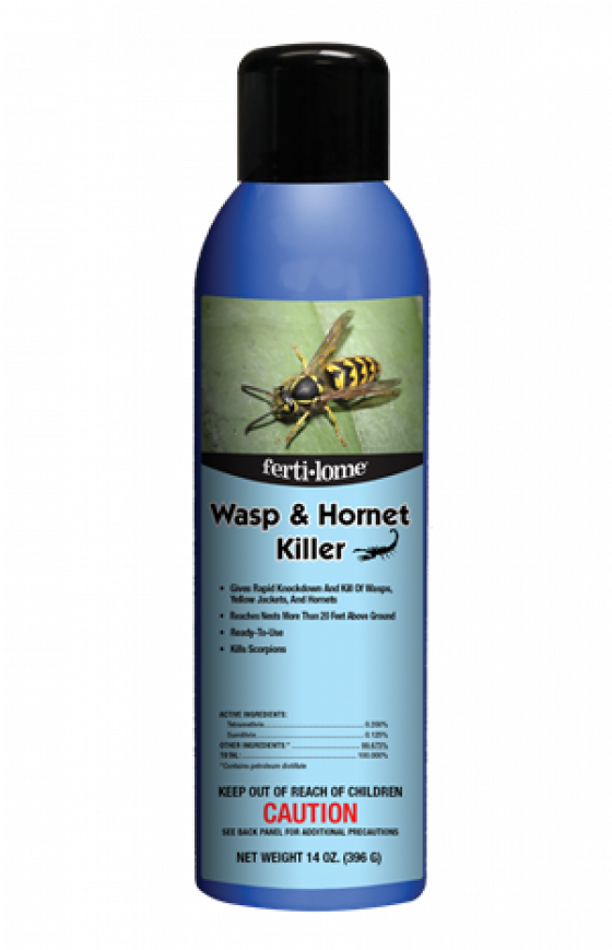 Wasps (720x868), Png Download
