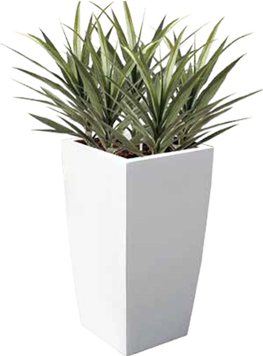 Our Choice Is Extensive, Featuring Over A Thousand - Flowerpot (526x700), Png Download