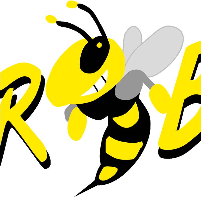 Killer Bee (799x800), Png Download