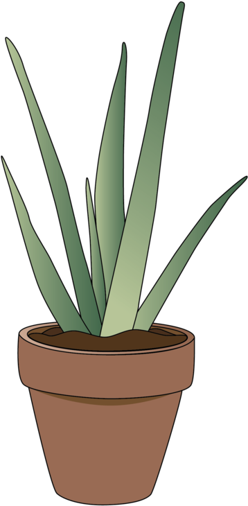 Artboard 1-6@4x - Portable Network Graphics (1000x1000), Png Download