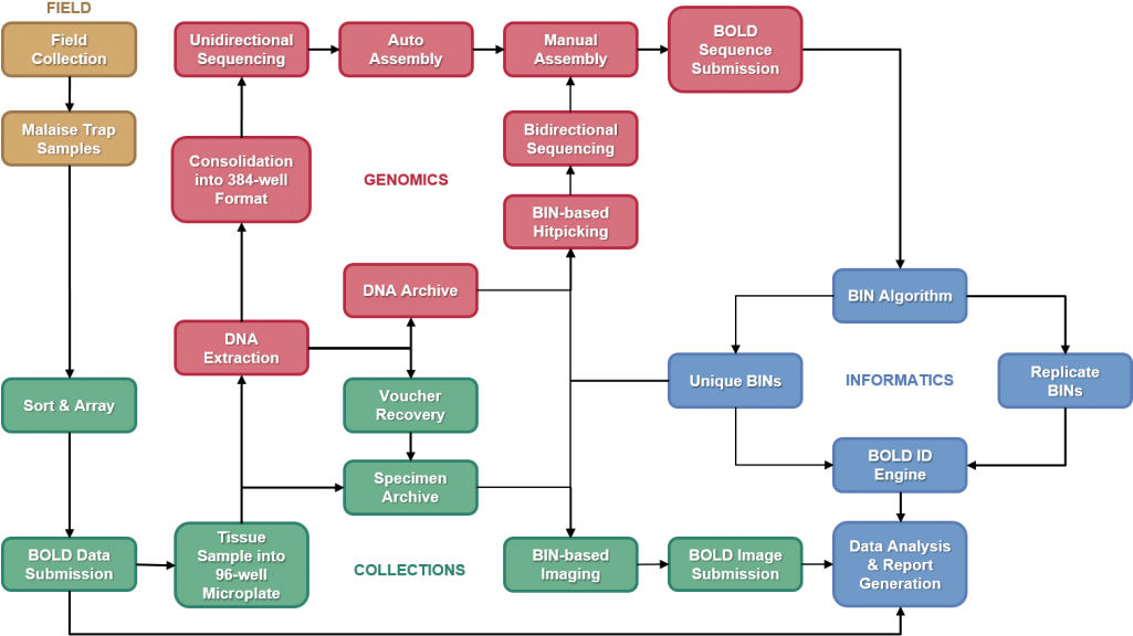The Whole Program Moves Forward Through Collaborative - Electric Blue (1024x583), Png Download