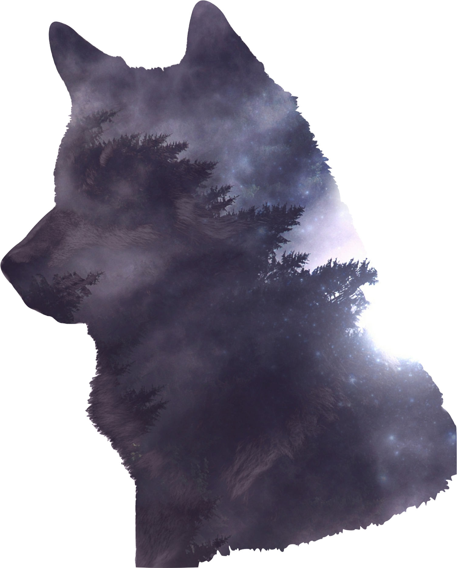Wolf-2741085 1920 - Transparent Wolf Png (1509x1874), Png Download