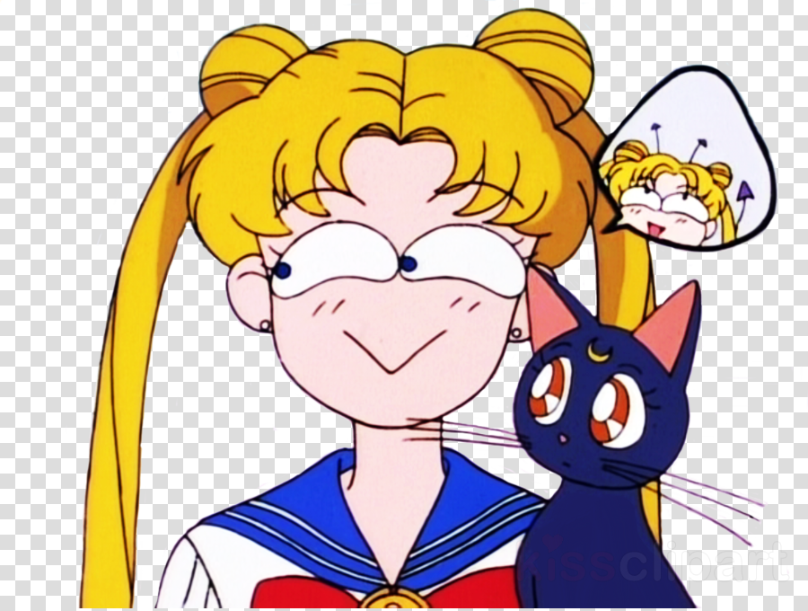 Sailor Moon Png Clipart Sailor Moon Chibiusa Tuxedo - Sailor Moon Funny Face (900x680), Png Download