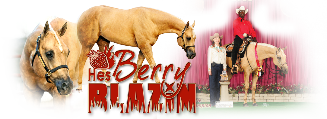 Hes Berry Blazin - Stallion (1084x396), Png Download