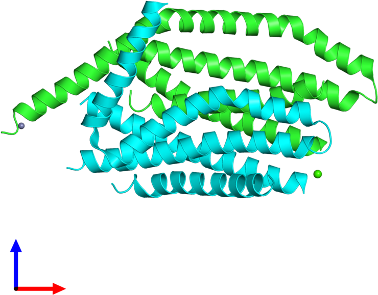 Pdb 4hks Coloured By Chain And Viewed From The Front - Graphic Design (800x800), Png Download
