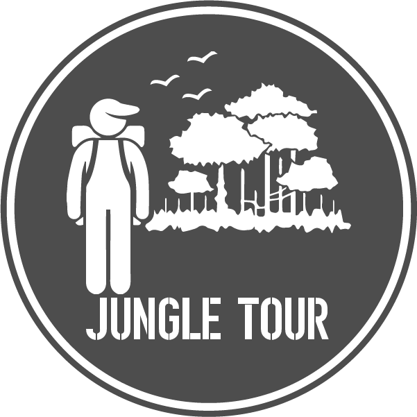 Junglerecurso 45 - Us Army Iraq Veteran 101st Airborne Decal Sticker - (601x601), Png Download