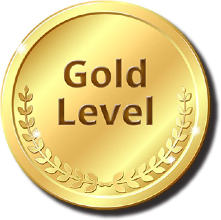 Image Of Gold Level Icon - Logo Platinum (1000x973), Png Download