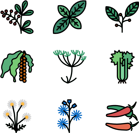 Herb (600x564), Png Download