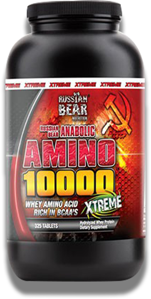 Amino 10000 Russian Bear - Russian Bear Amino 10000 Xtreme (1000x1000), Png Download