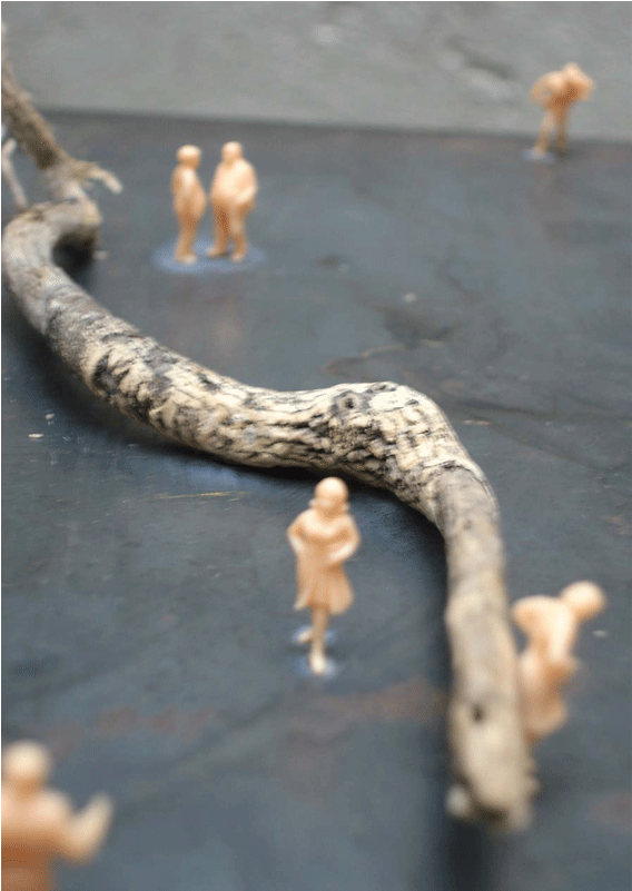 Maqueta De Playa - Driftwood (1600x800), Png Download