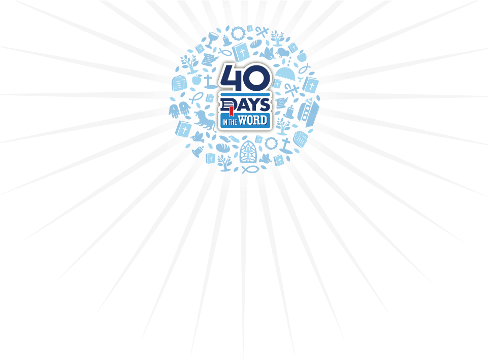 40 Days In The Word Small Group Study [dvd] (960x724), Png Download