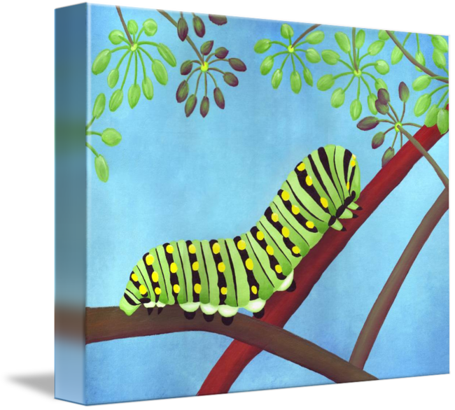 Swallowtail Caterpillar Png - Gallery-wrapped Canvas Art Print 14 X 11 Entitled Swallowtail (650x586), Png Download