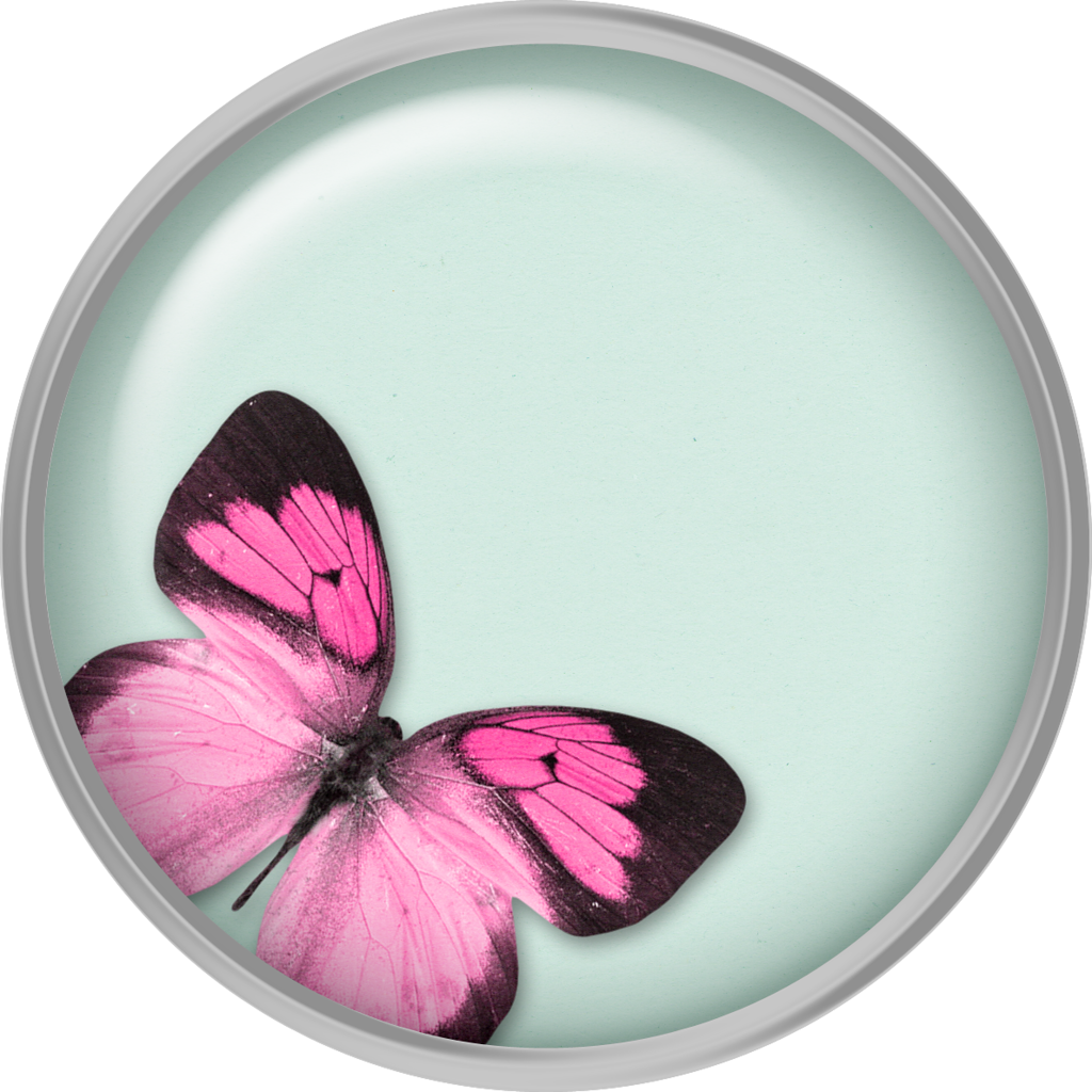 B *✿*dragonfly Dance - Real Butterfly Paperweight (3" X 3" X 1") (yellow Orange (1024x1024), Png Download