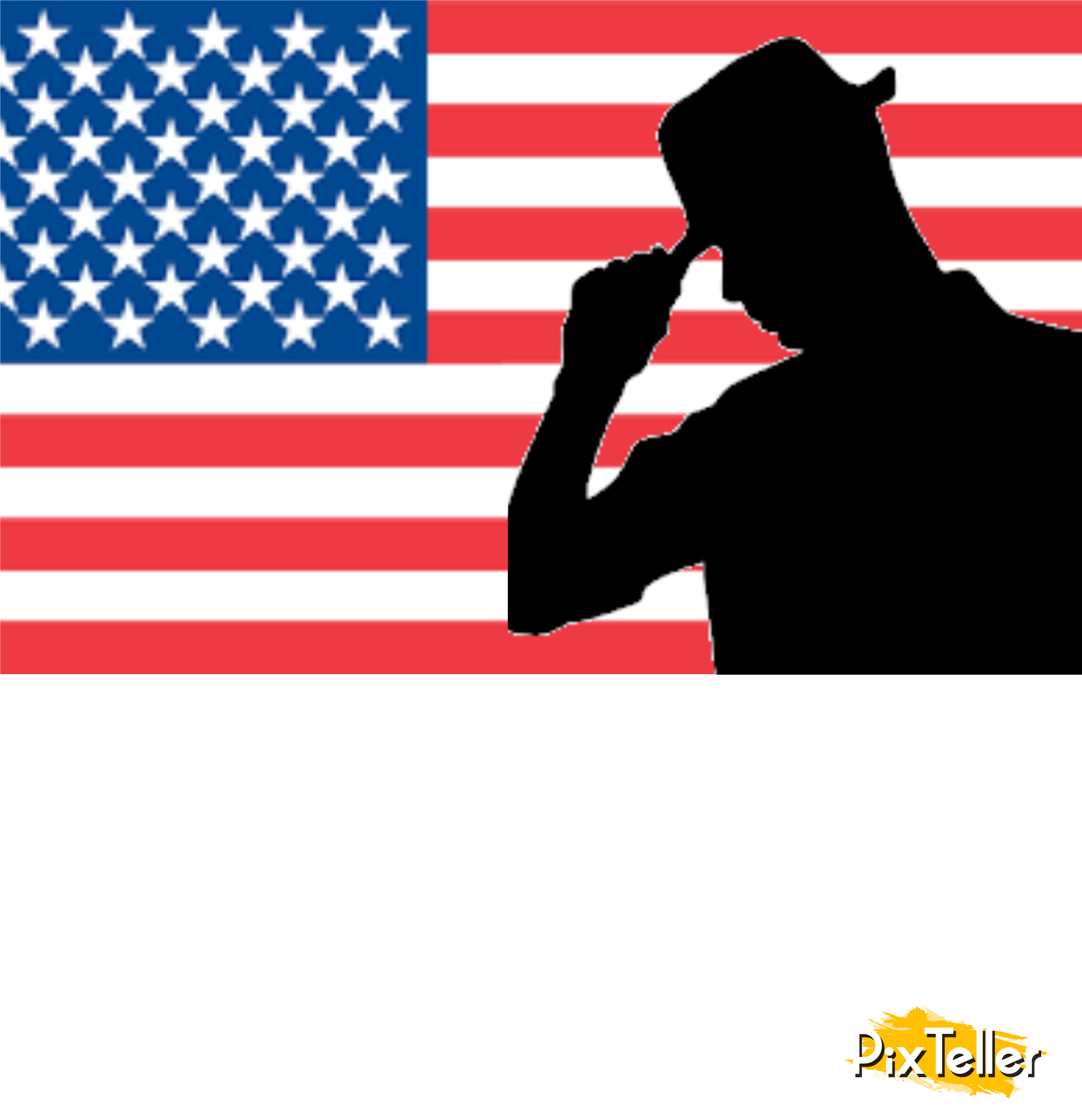 Anna › Respect Usa - Fort Sumter (4192x5000), Png Download