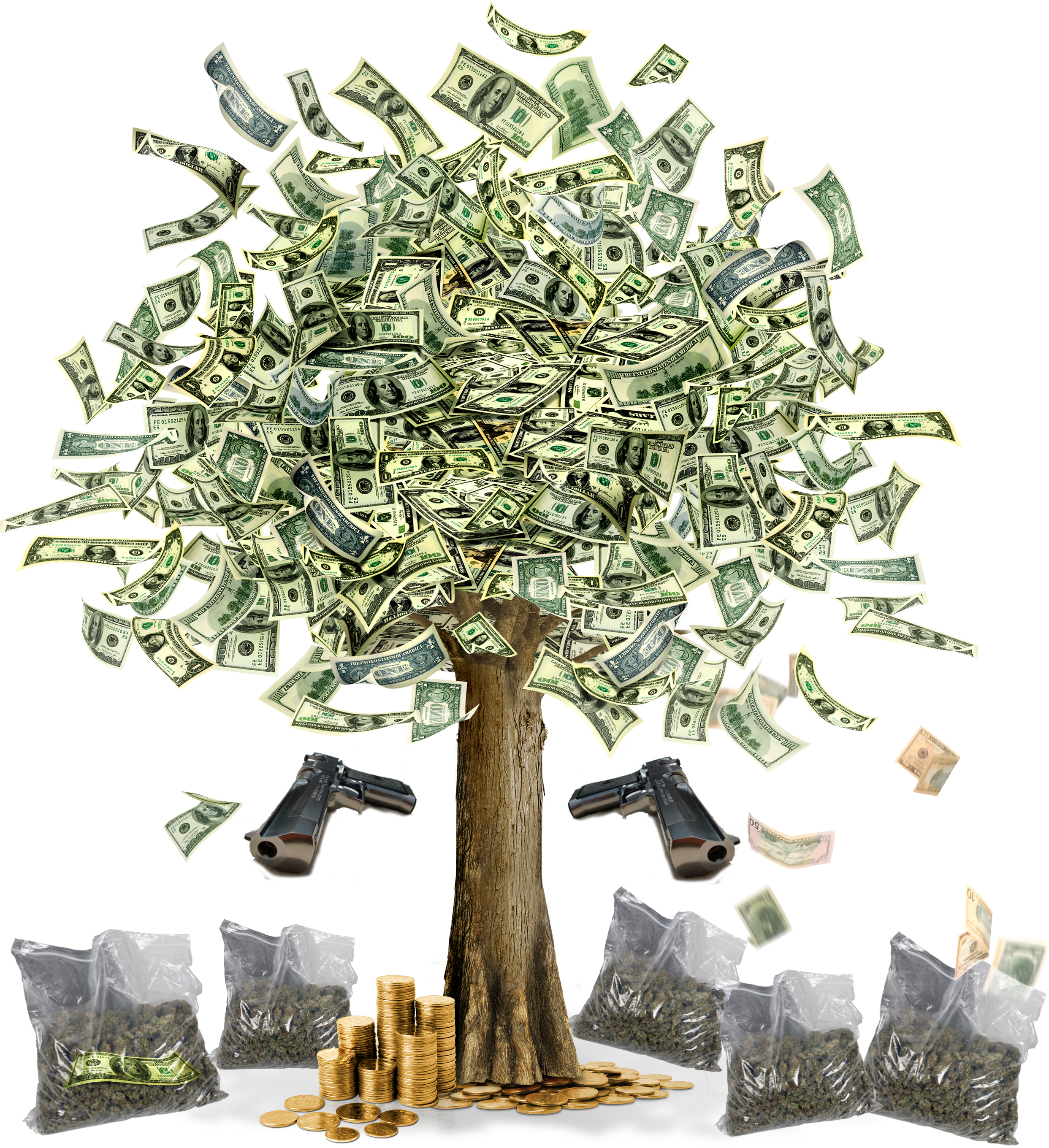 Sss - Money Tree Images Hd (2485x2720), Png Download