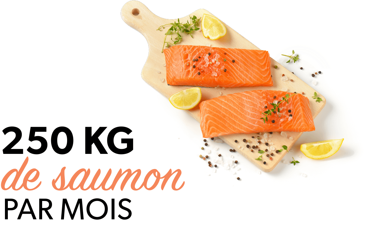 250 Kg De Saumon Par Mois - Ride More Tablet - Ipad Mini 1 And 2 (horizontal) (1269x791), Png Download