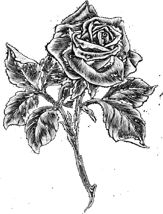 Single Black Granite Carved Angel - Clip Art (540x720), Png Download