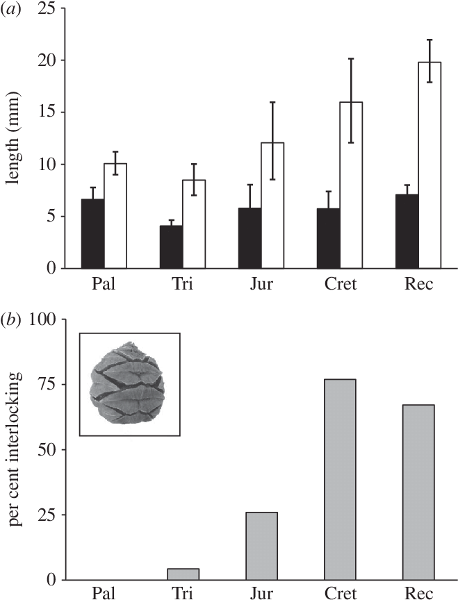 Mean Length Of The Seed (black Bars) And Its Subtending - Diagram (659x872), Png Download