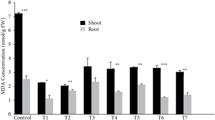 Mda Concentration In The Shoots And Roots (gray Bars) - Transgene (850x480), Png Download