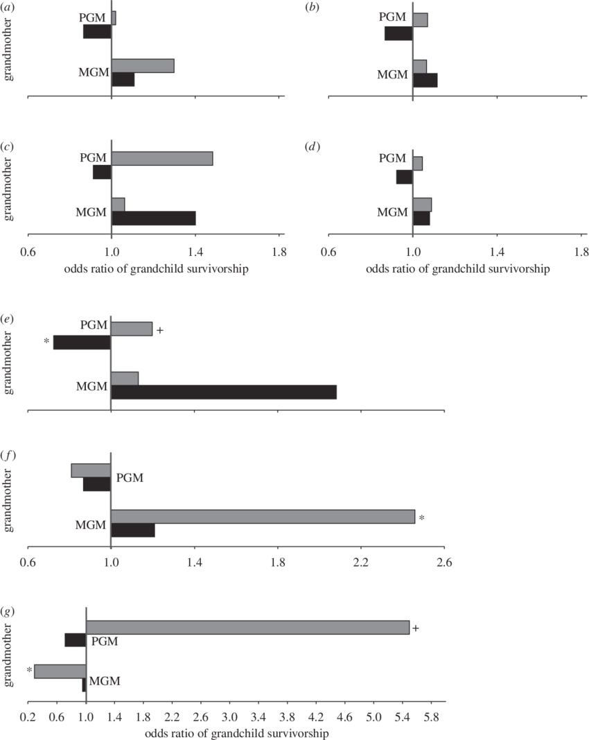 Grey Bars, Girls - Grandchild (850x1067), Png Download