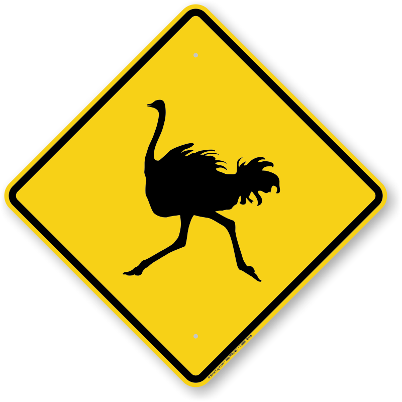 Ostrich Crossing Symbol Sign - Bull Sign (800x800), Png Download