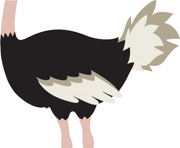 Ostrich Clipart Animated - Ostrich Bird Clipart (640x480), Png Download