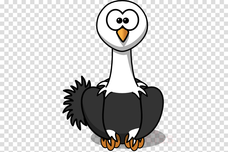 Cartoon Ostrich Png Clipart Common Ostrich Clip Art - Cartoon Ostrich Rectangle Magnet (900x600), Png Download