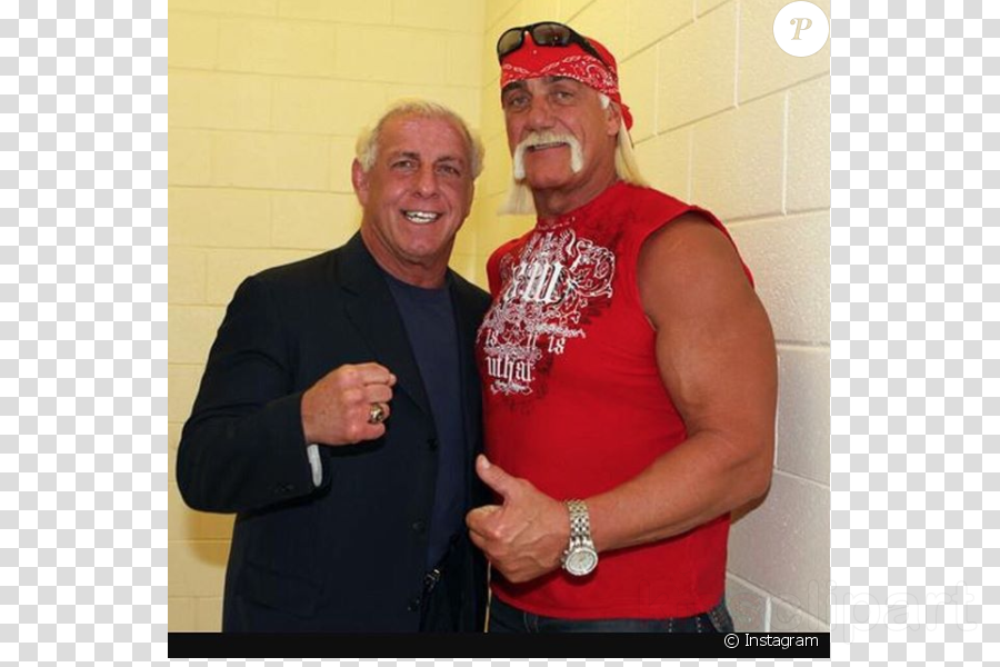 Ric Flair Clipart Ric Flair Hulk Hogan Professional - Hulk Hogan Ric Flair (900x600), Png Download