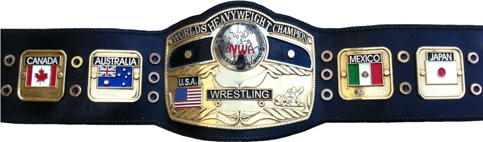 Nwa World Heavyweight Championship (980x326), Png Download
