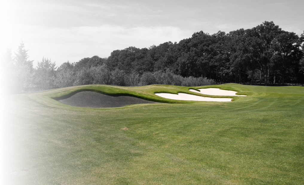 The Ultimate Solution For Your Problematic Bunkers - Lawn (1017x620), Png Download