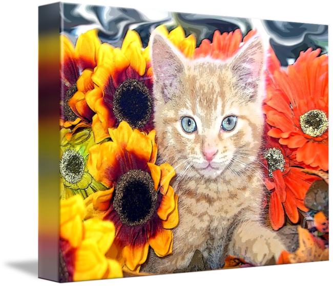 Sunflower Kitty Kitten Blue Portrait By Chantal - Zazzle Orange Katzen-kundenspezifisches Propark-brett (650x559), Png Download