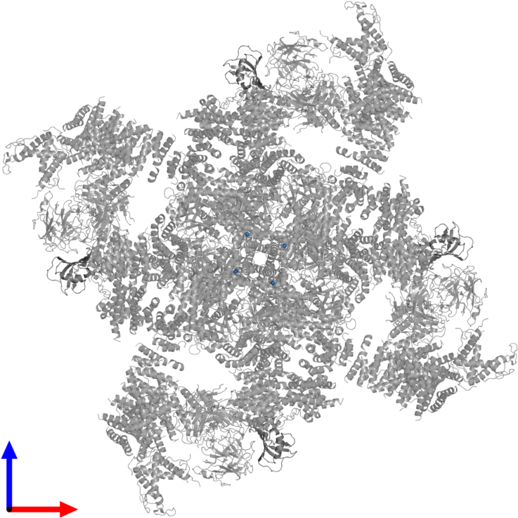 <div Class='caption-body'>pdb Entry 3j8h Contains 4 - Christmas Tree (800x800), Png Download