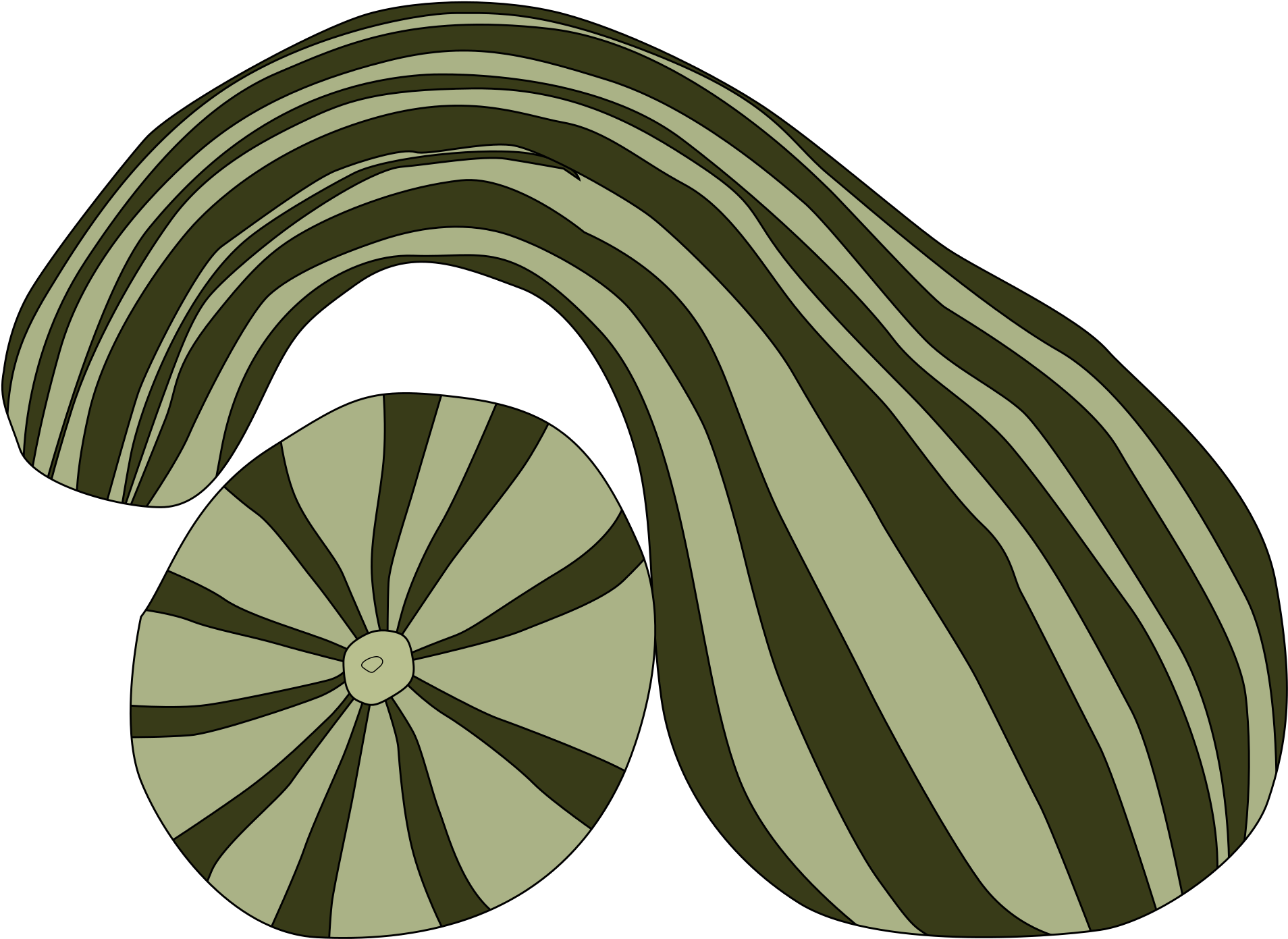 Open - Vegetable (2000x1525), Png Download