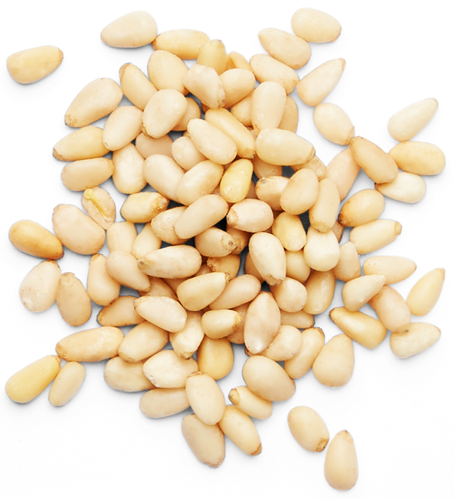Download Pine Nuts Png Clip Freeuse Stock Kidney Beans Full Size PNG Image PNGkit