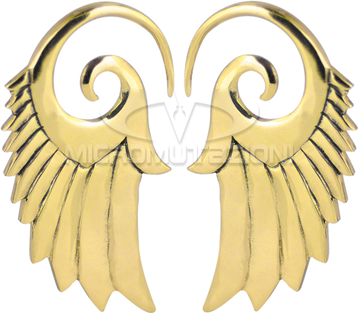 Brass Wings Spiral Hooks Ear - Italy (750x750), Png Download
