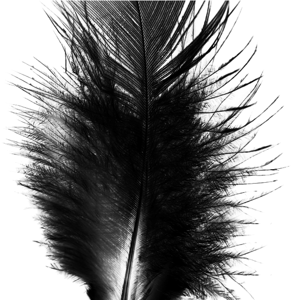 Photo Taken At Black Feather By Black Feather On 3/3/2017 - Adobe Photoshop (600x600), Png Download