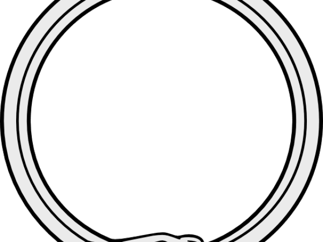 Drawn Serpent Snake Png - Full Metal Alchemist Circulo (640x480), Png Download