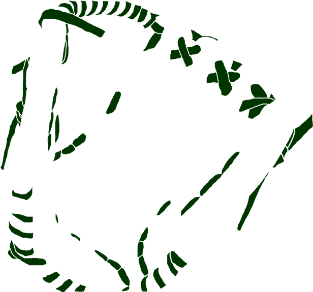 Glove Leaf Plant Stem Line Art Clip Art (642x577), Png Download