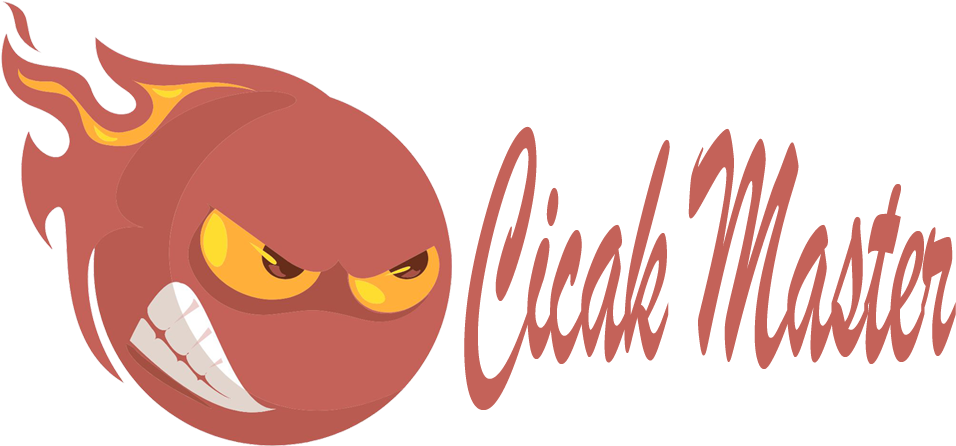 Satisfaction Guaranteed - Boolean Data Type (986x514), Png Download