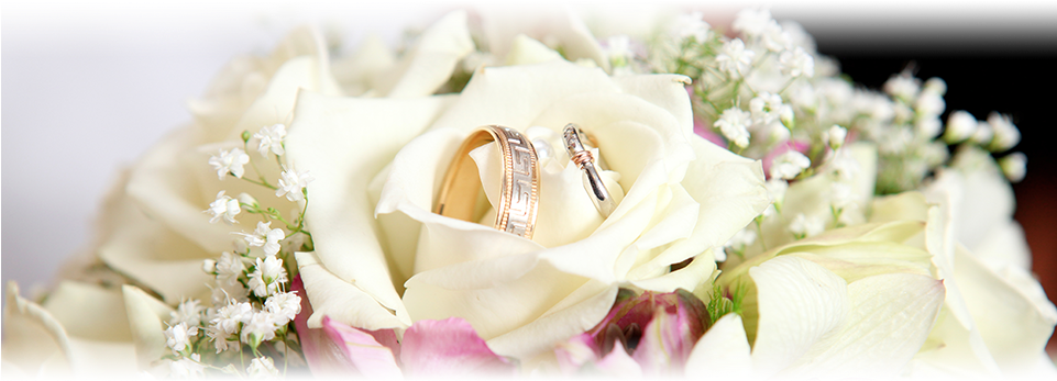 Weddings Abbey Flowers Designs - Wedding Rings Png Flower (960x353), Png Download