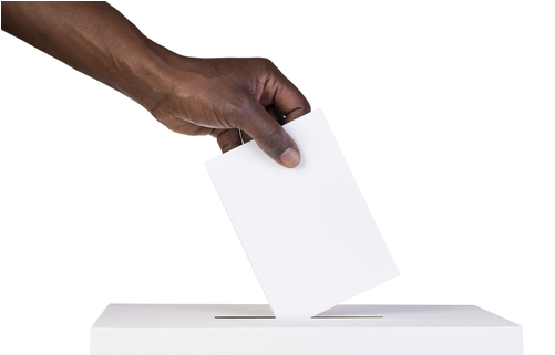 Vote - Plywood (1100x384), Png Download